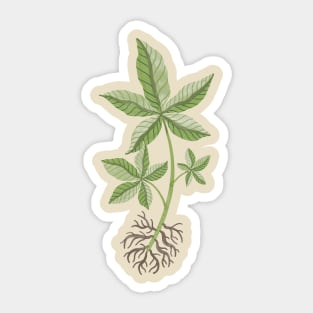 Money Tree Cutting Sticker